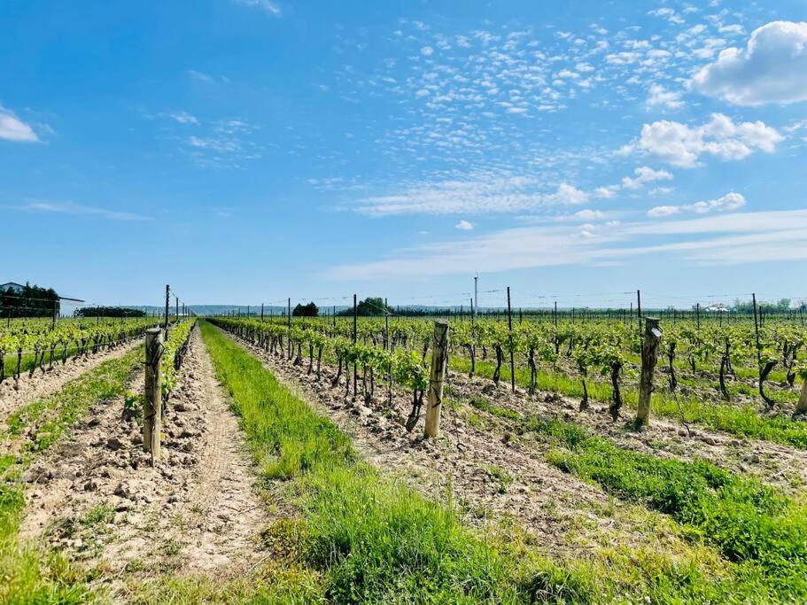 Waterfront Niagara-On-The-Lake Farmhouse On A Vineyardヴィラ エクステリア 写真